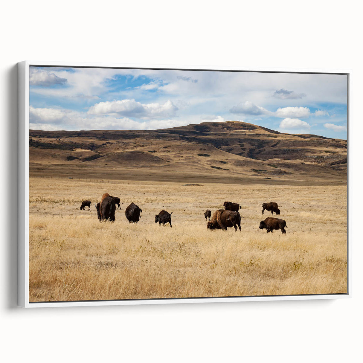 Vintage poster art of Alberta, Canada scenery on extra large framed canvas.