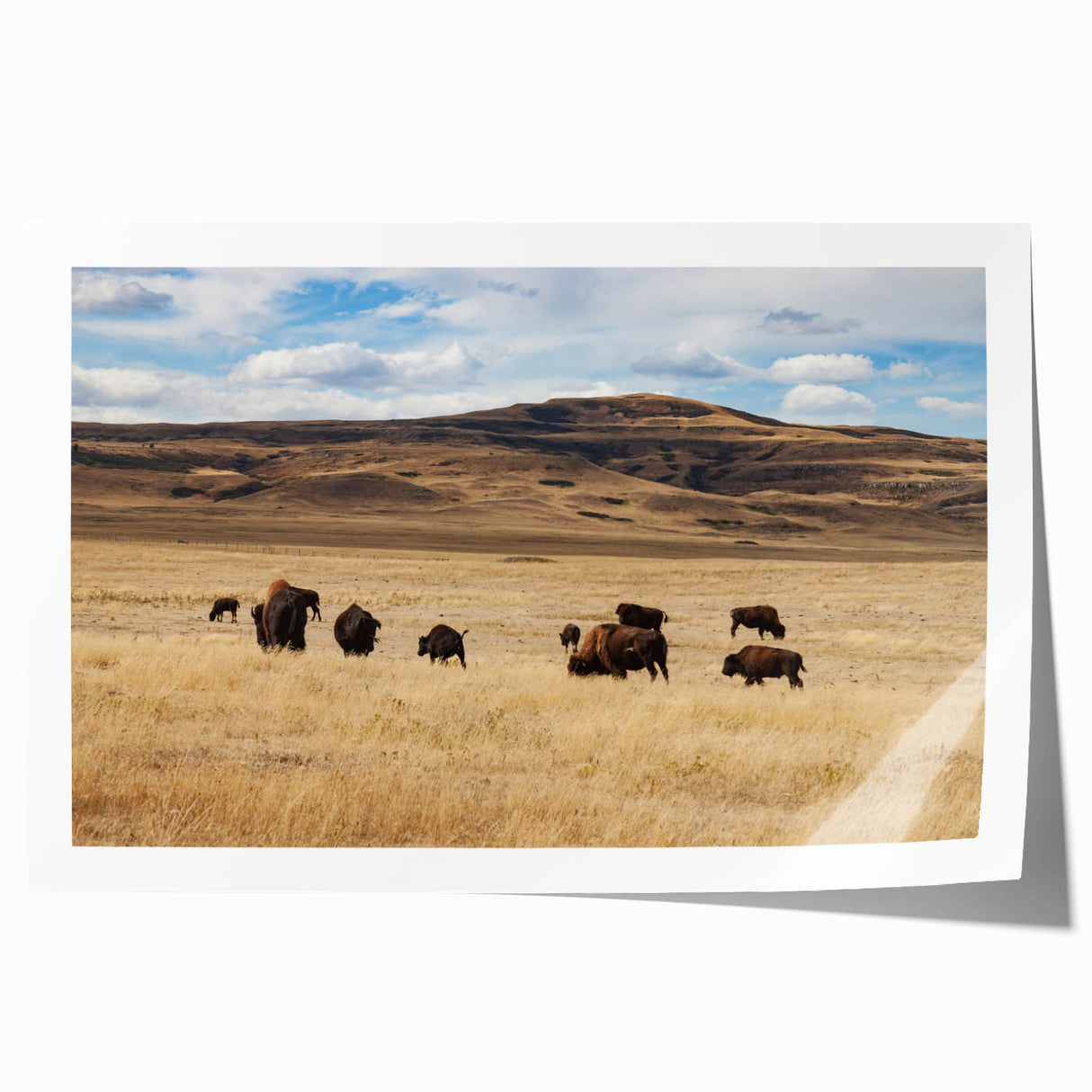 Extra large rolled print of Alberta, Canada scenery with vivid green and blue tones, ideal for art wall dining room.