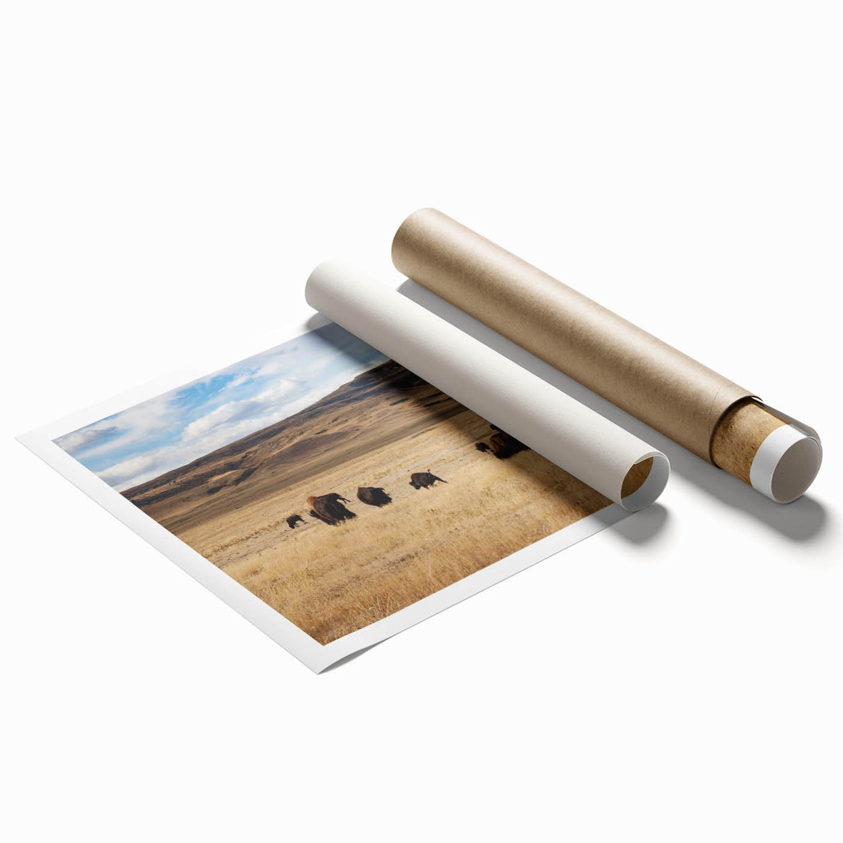 Extra large rolled print featuring Alberta, Canada scenery with floral elements in soft pastel colors.