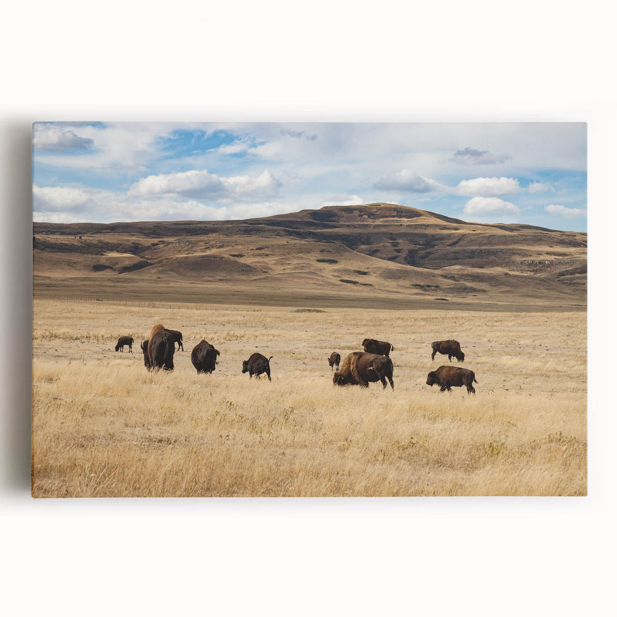Black and white photograph of Alberta scenery on stretched canvas, ideal for kitchen wall art.