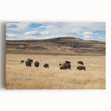Black and white photograph of Alberta scenery on stretched canvas, ideal for kitchen wall art.
