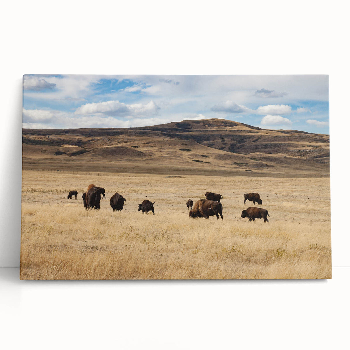 Black and white photo of Alberta scenery on stretched canvas, ideal for kitchen wall art or bedroom ambiance.