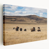 Scenic Alberta landscape on large stretched canvas, featuring lush greenery and mountains, ideal for kitchen wall art.