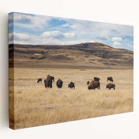 Scenic Alberta landscape on large stretched canvas, featuring lush greenery and mountains, ideal for kitchen wall art.