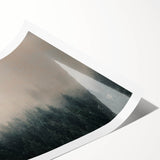 Extra large wall art featuring line art flowers on a rolled print, with a palette of soft greens and whites.