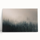 Black and white photo of British Columbia scenery on stretched canvas, suitable for kitchen wall art or bedroom ambiance.
