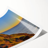 Extra large rolled print of line art flowers in muted earth tones, ideal for large living room wall art.