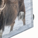 Large abstract wall art depicting the Northwest Territories landscape on acrylic glass, in muted earth tones.