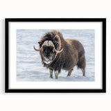 Extra large, textured abstract art print depicting colorful Northwest Territories scenery, framed in black.