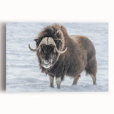 Black and white photograph of Northwest Territories landscape on stretched canvas, ideal for kitchen wall art.