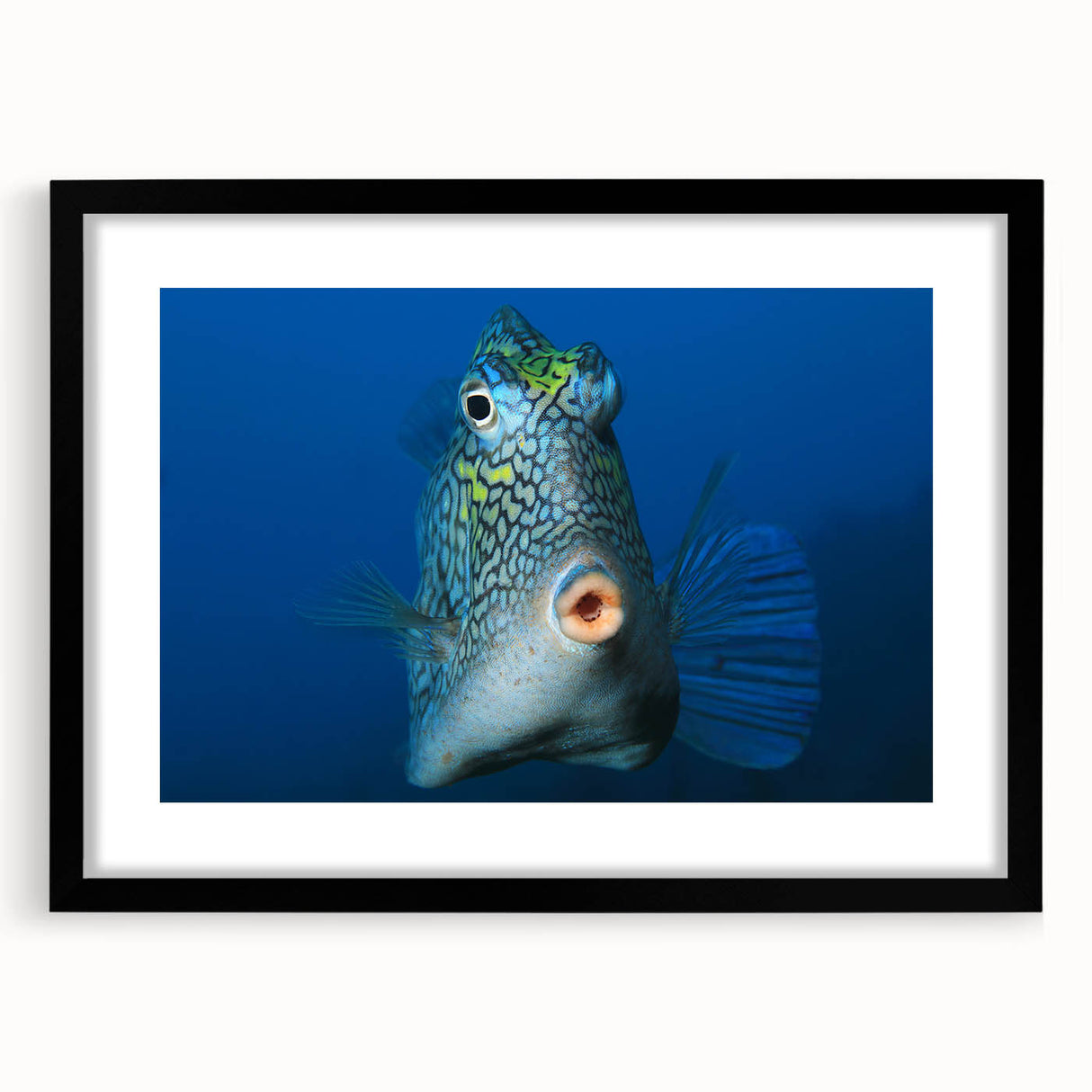 Extra large abstract art print of a vibrant Caribbean scenery on textured canvas, framed in black.
