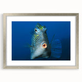 Extra large abstract art print of Caribbean scenery in muted blue and green, framed with a silver mat.