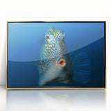 Art deco style poster of a Caribbean Aruba scenery in muted gold and blue tones, framed acrylic.