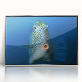 Large art print of a Caribbean beach scene in Aruba on a silver-framed acrylic, showcasing mid-century modernist style.