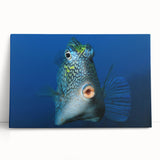 Large black and white stretched canvas featuring a serene Caribbean beach scene, ideal for kitchen wall art.