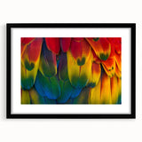 Abstract art print depicting a colorful, textured scene of Central America on a large black-framed canvas.