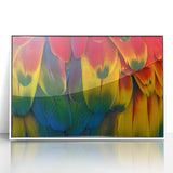 Framed acrylic print of a Costa Rican landscape in art deco style, featuring lush greenery and a serene lake.