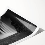 Extra large wall art featuring a line art floral design in black and white on a rolled canvas.