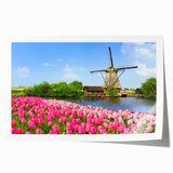 Rolled print of a Dutch landscape featuring tulip fields in vibrant red and yellow, ideal for art wall dining room.