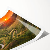 Extra large rolled print featuring line art flowers in soft monochrome, ideal for large living room wall decor.