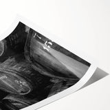 Extra large wall art featuring line art flowers in monochrome, ideal for large living room wall decor.