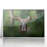 Art deco poster of a serene Swedish landscape in muted green and blue tones, acrylic print framed in white.