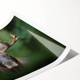 Extra large rolled print featuring minimalist line art flowers in monochrome, ideal for large living room wall art.