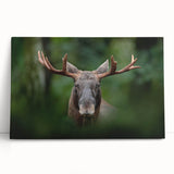 Black and white large canvas print of a serene Swedish landscape, ideal for kitchen wall art or bedroom ambiance.