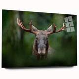 Large abstract wall art depicting a serene Swedish landscape in muted green and blue tones, printed on acrylic glass.