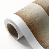 Art Deco poster of the Vatican scenery in muted earth tones on rolled canvas.