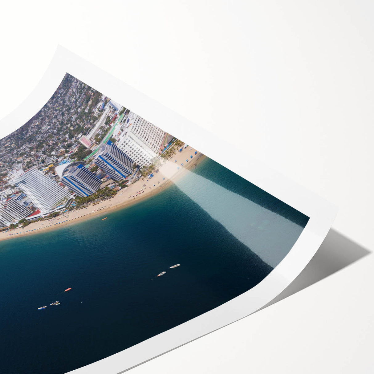 Extra large rolled print featuring line art flowers and Acapulco scenery in black and white.