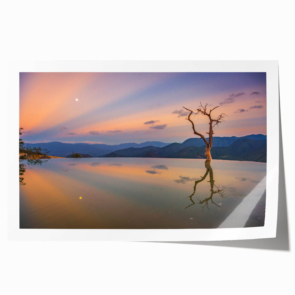 Extra large rolled print of Oaxaca scenery with vibrant floral elements, ideal for dining room wall art.