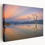 Large stretched canvas depicting a vibrant Oaxaca, Mexico scenery, suitable for kitchen wall art.