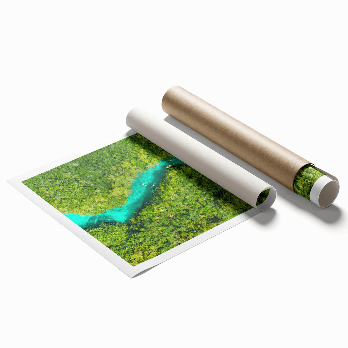 Extra large rolled print of Quintana Roo scenery with vibrant floral designs, ideal for classy bathroom wall art.