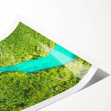 Extra large rolled print of line art flowers with a muted color palette, suitable for large living room wall art.