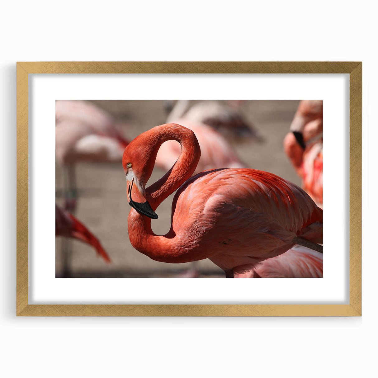 Extra large abstract art print of Yucatan scenery in gold frame, ideal for living room, featuring textured earth tones.