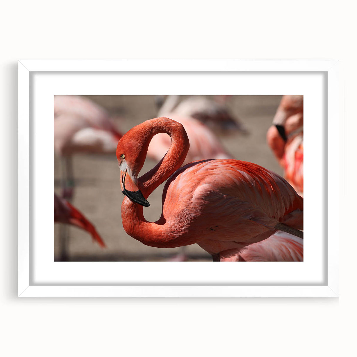 Abstract art print depicting a colorful Yucatan scenery in a white frame, ideal for dining room decor.