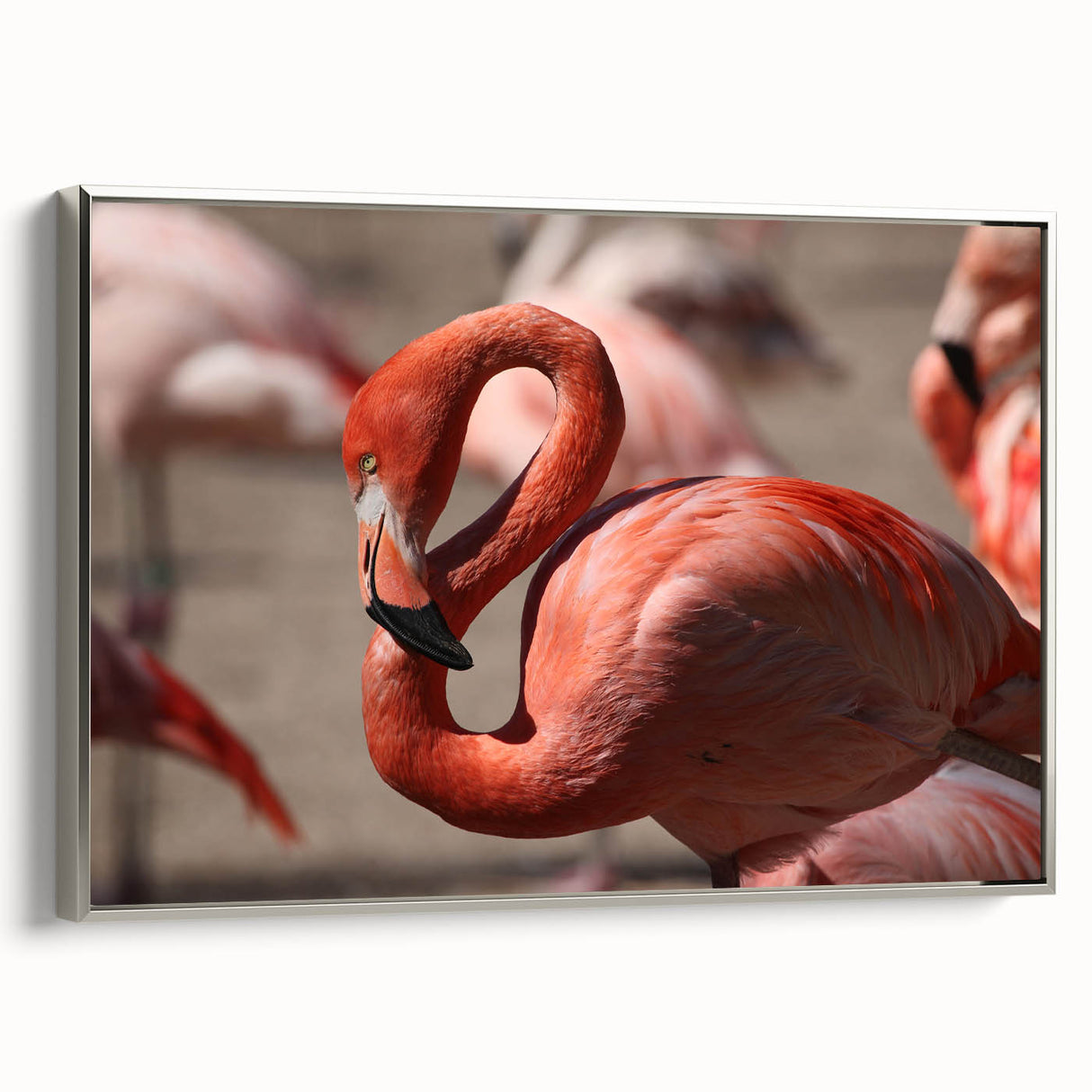 Framed canvas featuring a vintage-style landscape art painting of Yucatán, Mexico with vibrant colors.