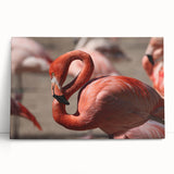 Black and white image of Yucatan scenery on stretched canvas, ideal for kitchen wall art.