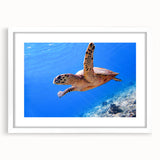 Abstract art print of a serene Fiji beachscape in cool blue tones, framed with a white mat.