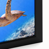 Black wall art featuring a close-up view of colorful, textured scenery, on an extra large framed canvas.