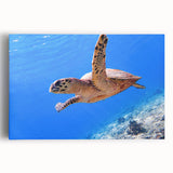 Large black and white photo of Fiji beach scenery on stretched canvas, suitable for kitchen wall art.