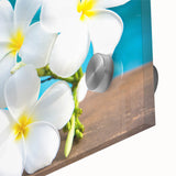 Large abstract wall art of Bora Bora, featuring vivid blue and green tones on acrylic glass.