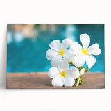 Black and white stretched canvas of Bora Bora landscape, ideal for kitchen wall art or bedroom ambiance.