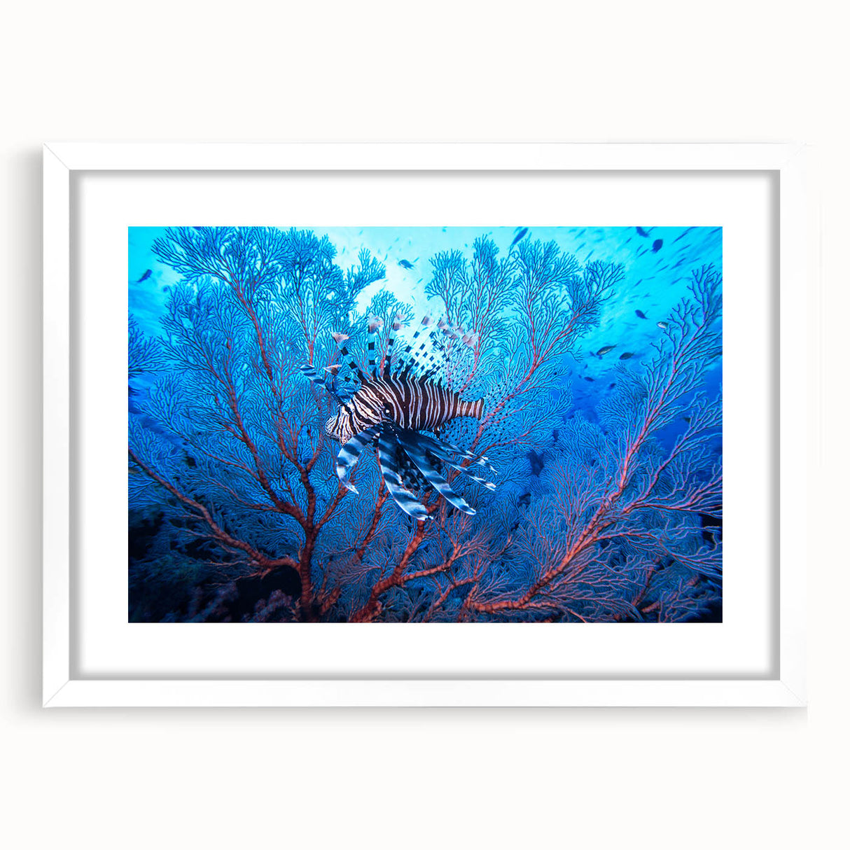 Abstract art print featuring swirling blue and white patterns, framed with a white mat.