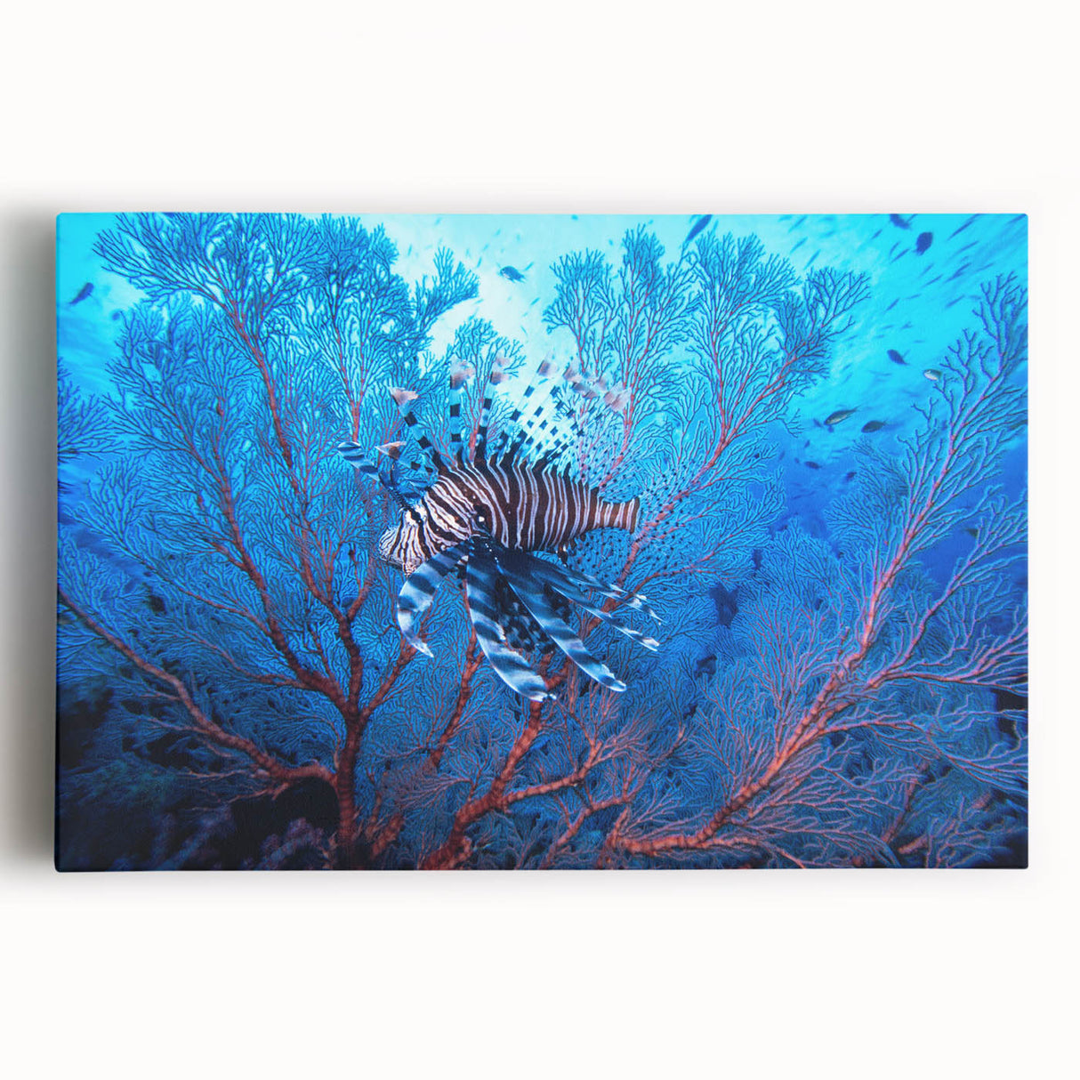 Black and white stretched canvas of an oceanic Micronesian scenery, ideal for kitchen wall art.