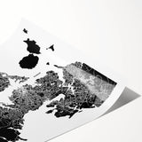 Extra large rolled print of line art flowers in muted tones, ideal for large living room wall art.