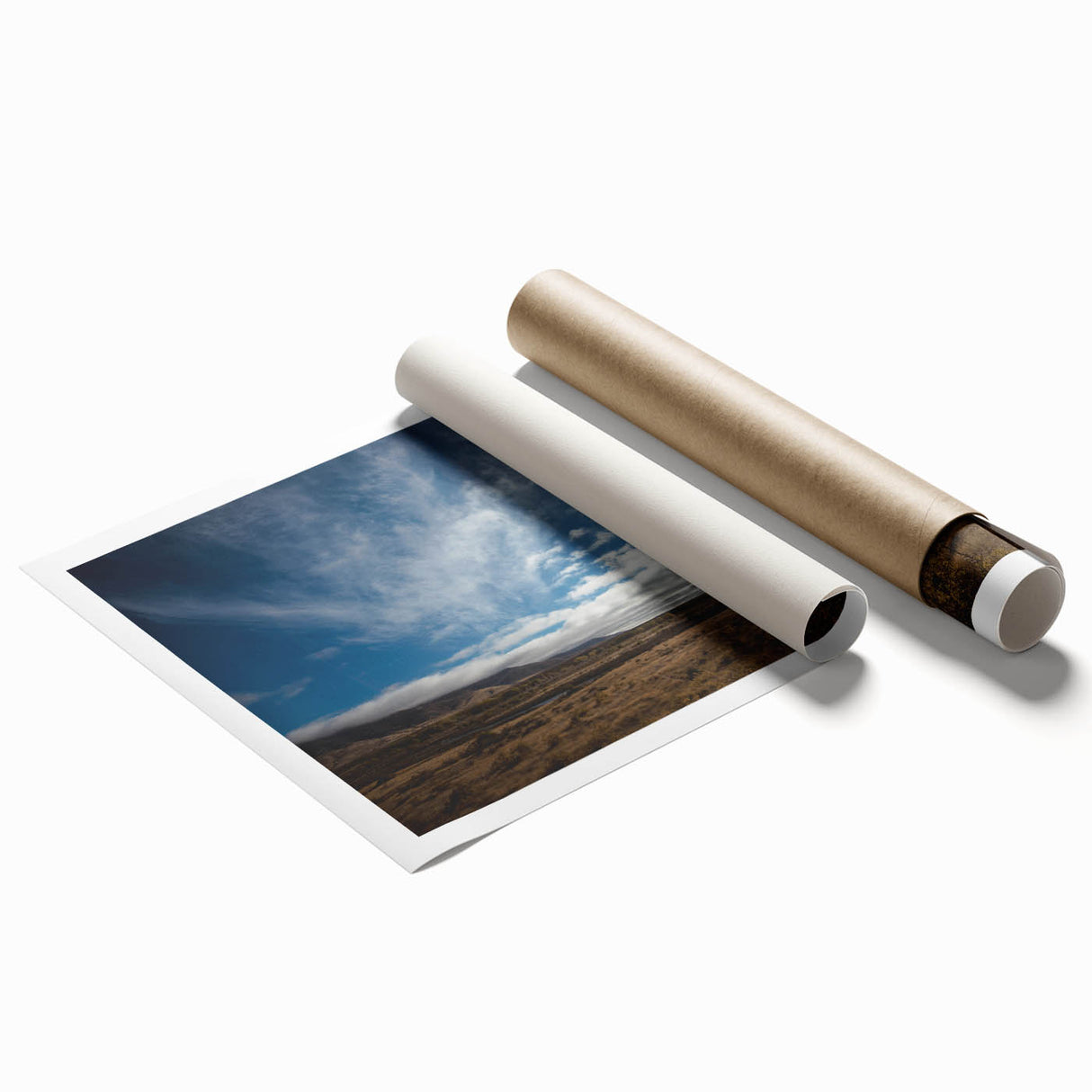 Extra large rolled print of Otago, New Zealand scenery with vibrant floral elements, ideal for classy bathroom wall art.