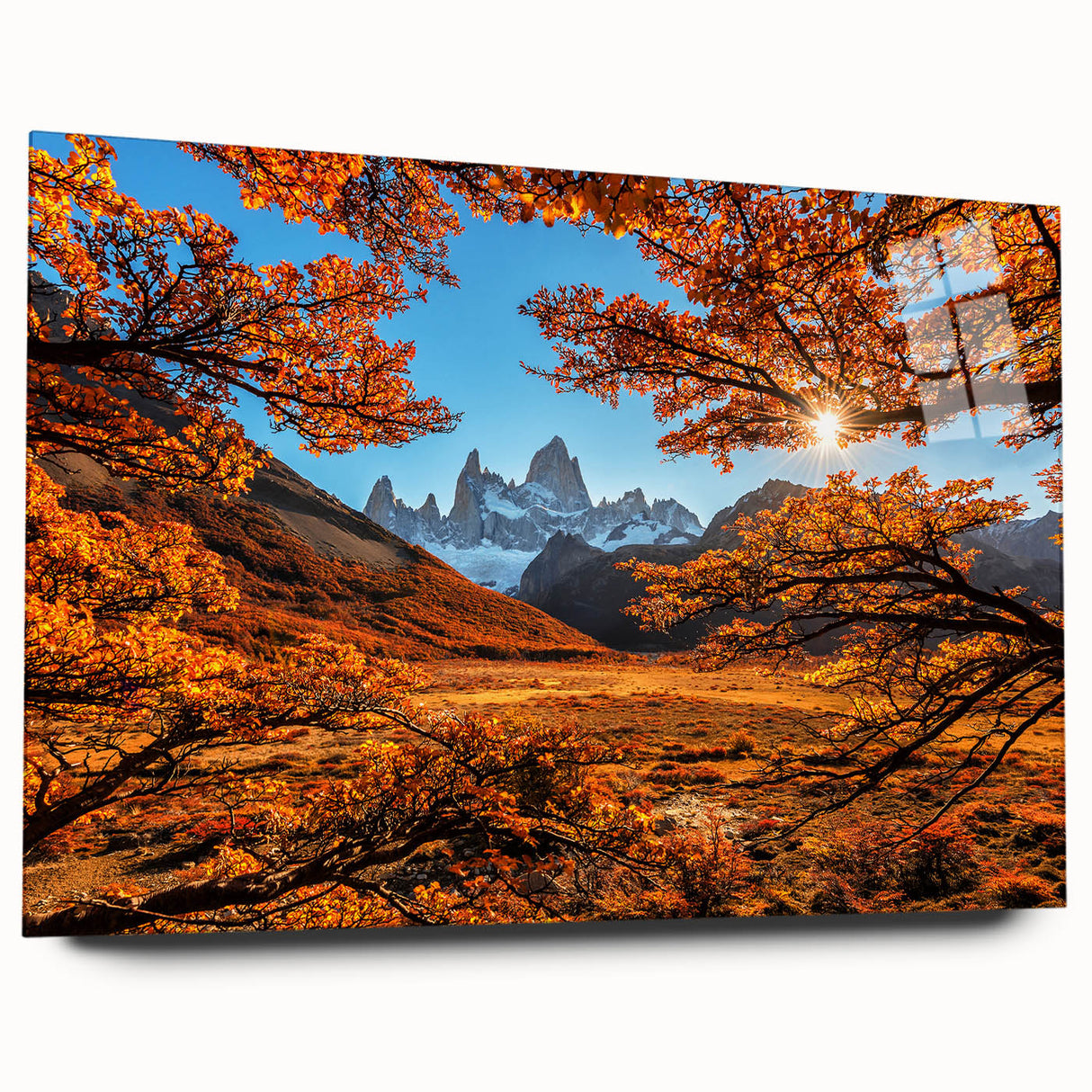 Acrylic print of a large abstract depiction of an Argentine landscape in muted earth tones.