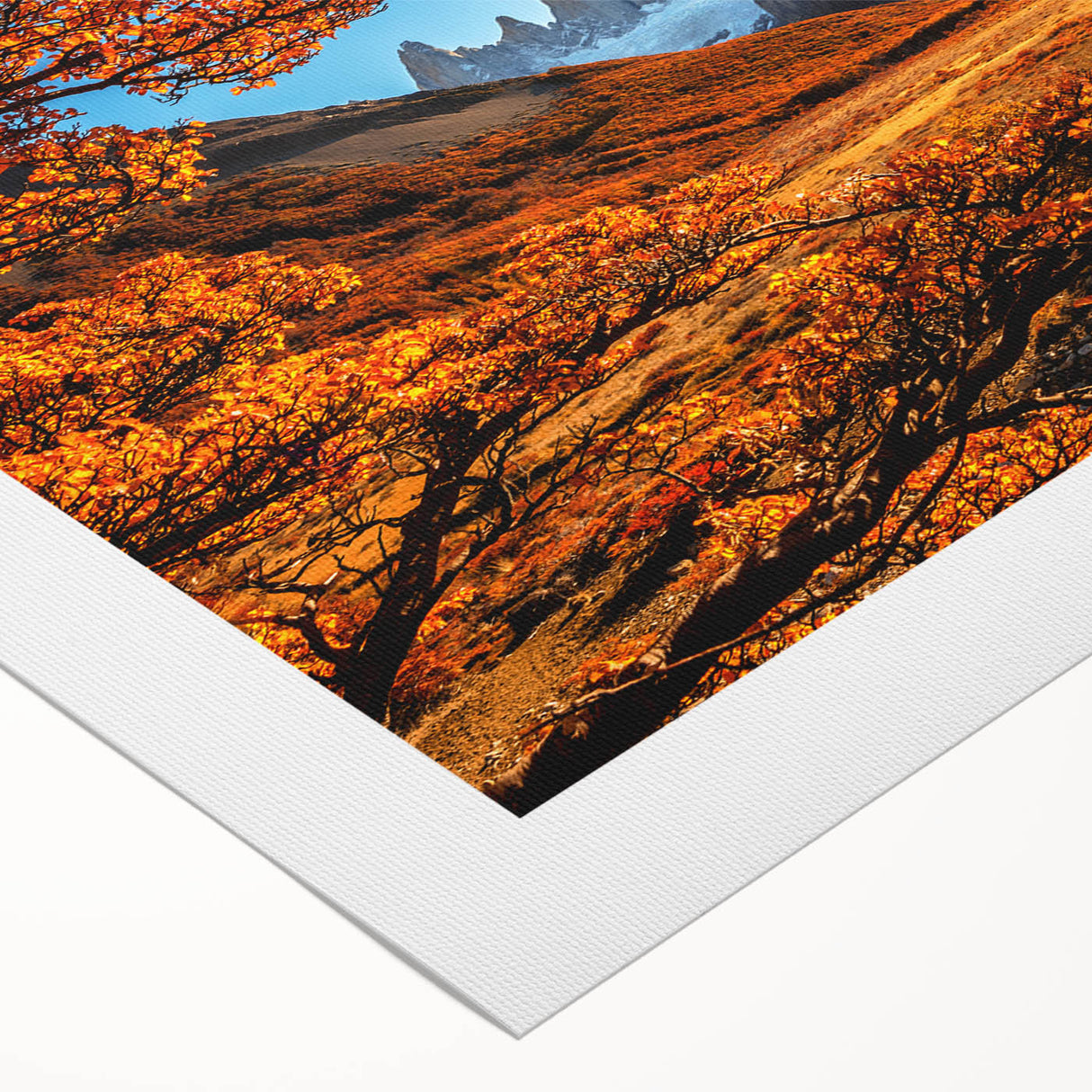 Art deco poster of a colorful Argentine landscape on rolled canvas, suitable for dining room wall art.